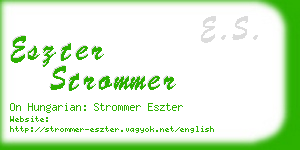 eszter strommer business card